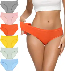 Hot Sales Cheap Price Cotton Panties Low Waist Soft Hipster Panties Women's Cotton Panties Seamless Underwear Plus Size