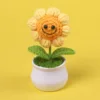 4-cercle smiley plantes en pot