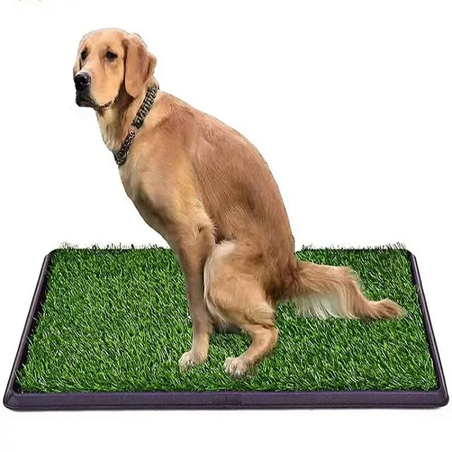 Pet Toilet Mat Artificial Turf Carpet for Dogs and Cats for Poop Cleanup Premium Quality Artificial Grass