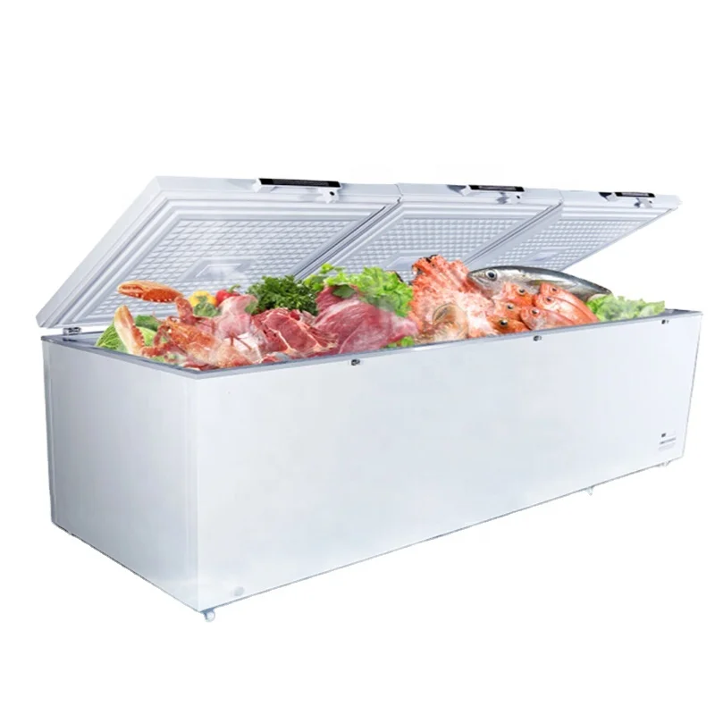 3.0 deep freezer