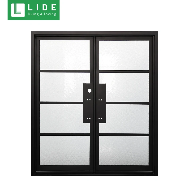 Simple Iron Gate with Main Gate Photos