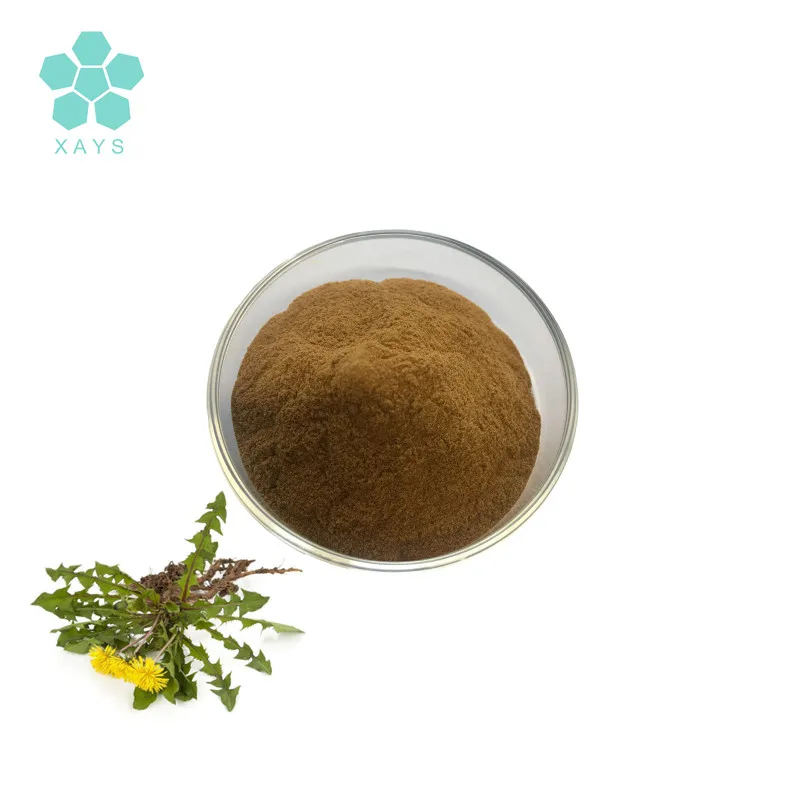 COA Concentrate Dandelion Root Extract Powder