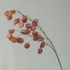 Cinnabar powder