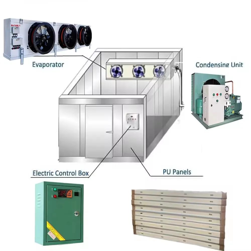 Industrial Walk in Freezer Mobile Container Cold Storage Blast Freezer Room Cooler Rooms for Meat