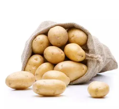 New Season Fresh Yellow Potato Professional Export Potato Wholesaler Fresh Potato
