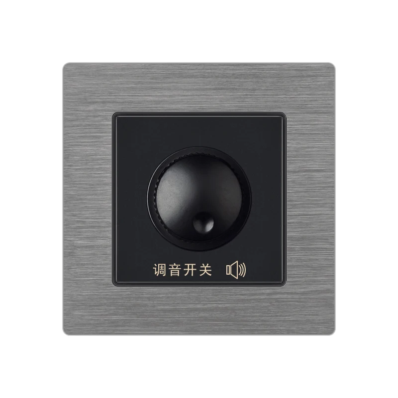 SUMMAO  Secretly Installed Wall Voice Control Switch Ceiling Speaker Volume Voice Control Light Switch Voice Activated Switch