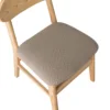 tortora