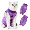 Viola