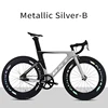 Metallic Silver-B