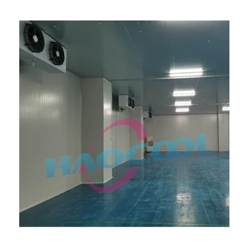 Emerson Compressor 3000ton Cold Room Freezer Energy-Saving 3ton Cooling Capacity Pump Core Components Panel 50mm 100mm 150mm