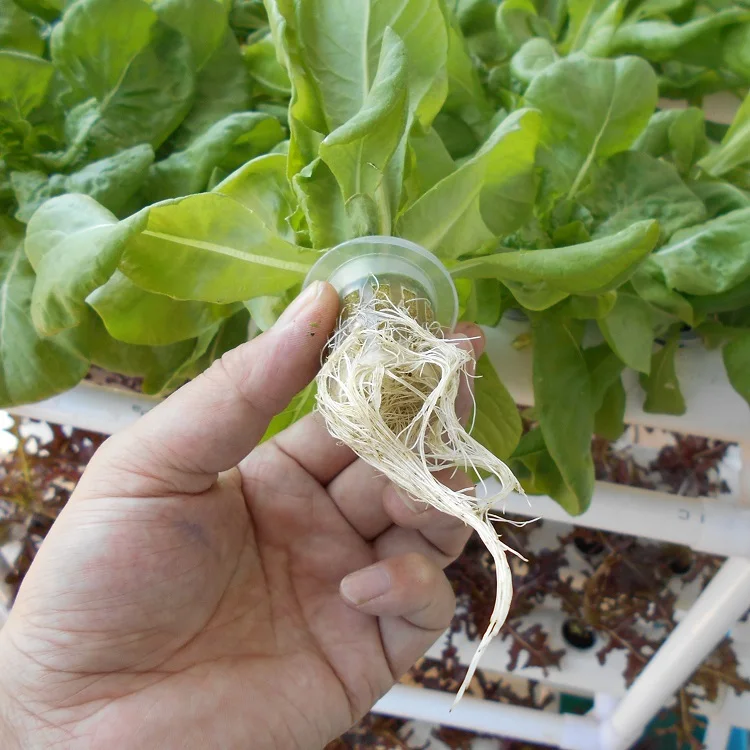 MESH NET POT BASKET for GROW HYDROPONICS AEROPONICS SYSTEM
