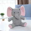 Grey Elephant