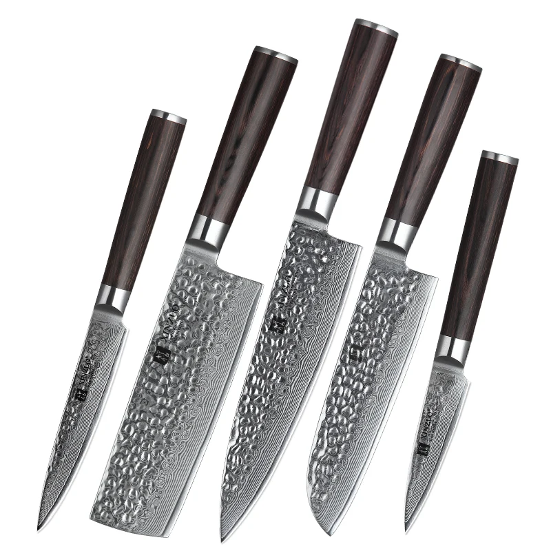 5 pcs professional 67 layers damascus kitchen knife set