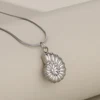 Concha de plata
