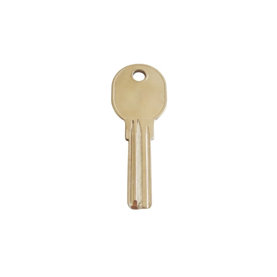 Smart Antitheft Lock Motorcycle Key Blank for Universal House Key Blank Key Everleo