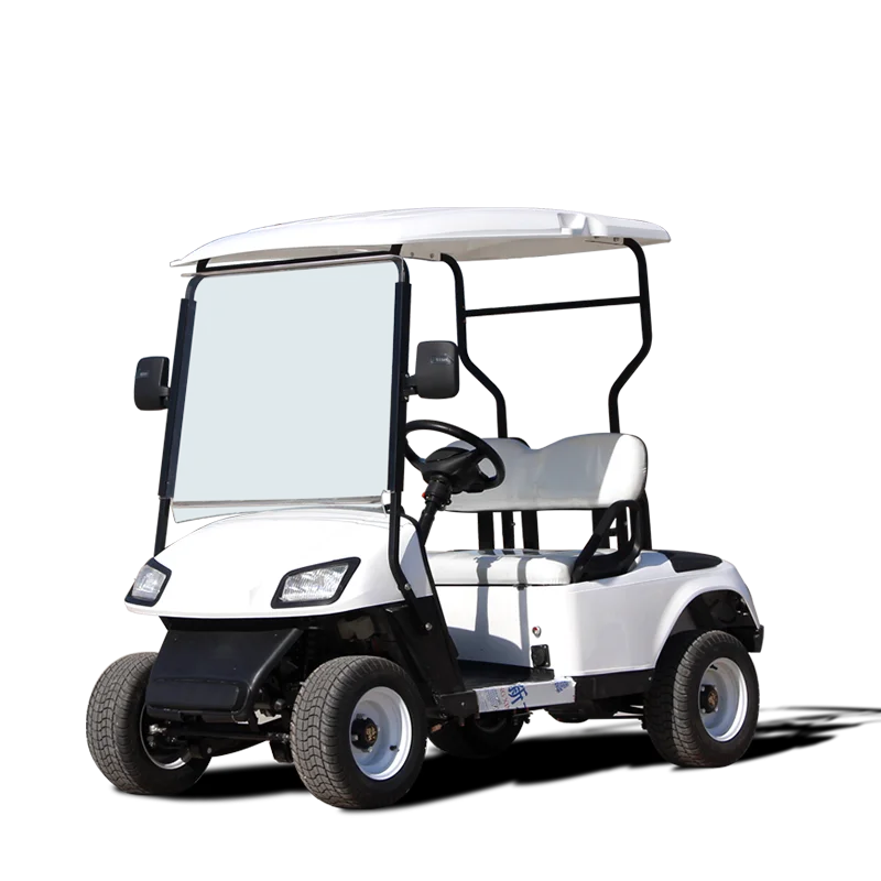 Custom Electric Golf Cart Person Golf Cart Person