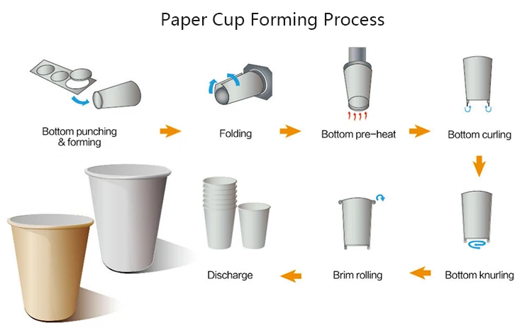 Nessco Paper Cup Machine MANUFACTURING PROCESS OF PAPER CUPS We Have ...