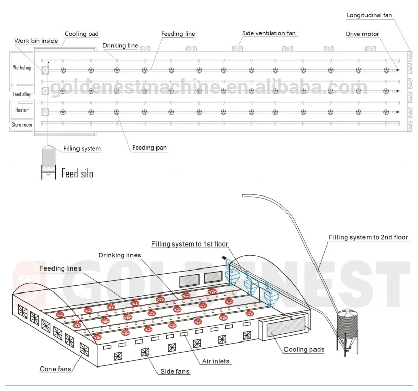 product-763-713 2.png