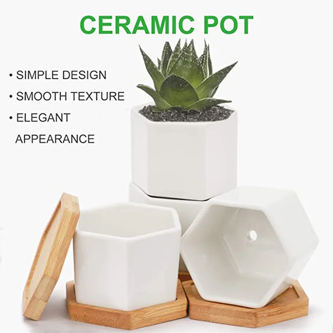 村田ドロロウ 作家鉢 【白い塔/type 双子星】コーデックス 多肉植物 作家鉢