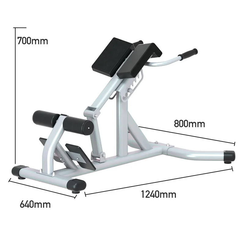 Adjustable Multi-Function Ab & Back Training Bench for Men and Women product detail 3