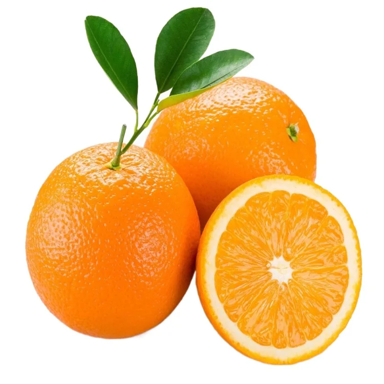 Wholesale Tangerine Ornament Oranges Sweet Oranges Valencia Orange Fresh