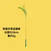 Foxtail grass cat toy (approx. 38cm)