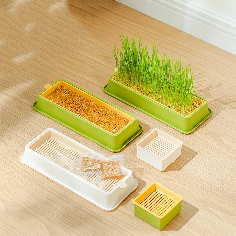 Cat Grass Growing Kit Cat Grass Planter Cat Grass Buy Cat Grass Box