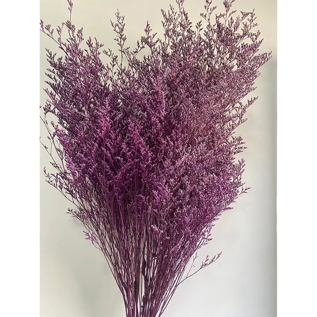 preserved natural dried flowers wholesale caspia Misty Limonium Preserved Limonium Flowers grass preserved flowers and plants