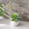 CF02245 Blanco y Verde