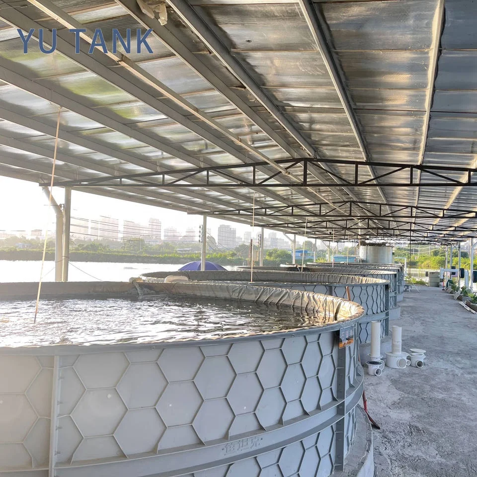 Own Design Commercial PP Fish Tank Aquaponics Saltwater Tilapia Farming High Quality 39.5m Capacity Aquaculture Equipment Yu