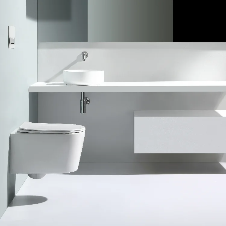 water-efficient ceramic toilet