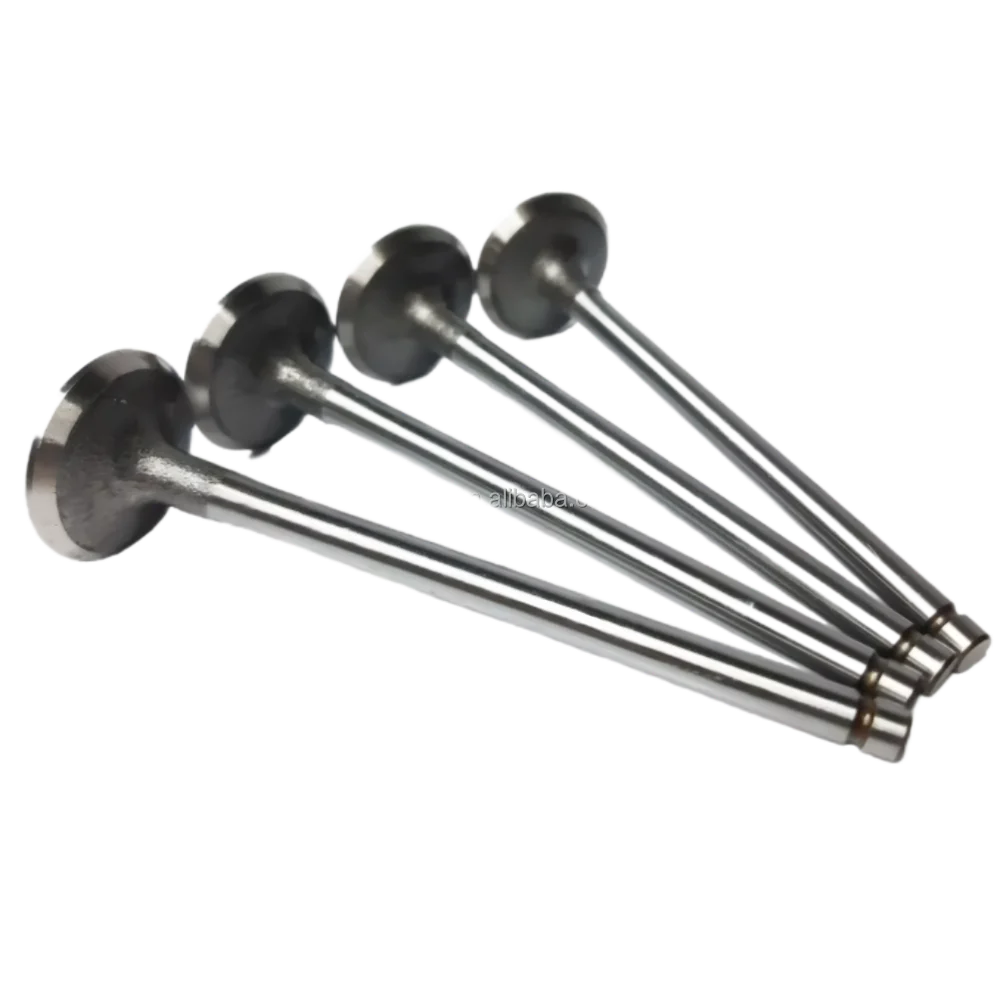 ALB-1601019951011 96896007 25182287 96440081 96376881 For Chevrolet Intake Aveo Daewoo F14D3 Advance Exhaust Valve