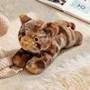 gato atigrado-2