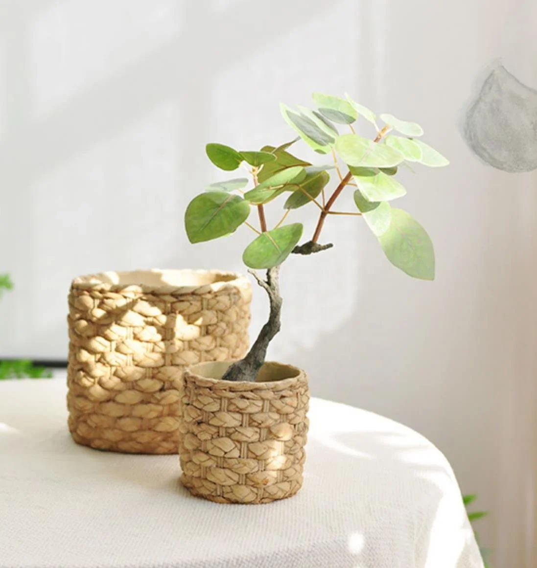 home decoration wooden concrete cement flower plant pots