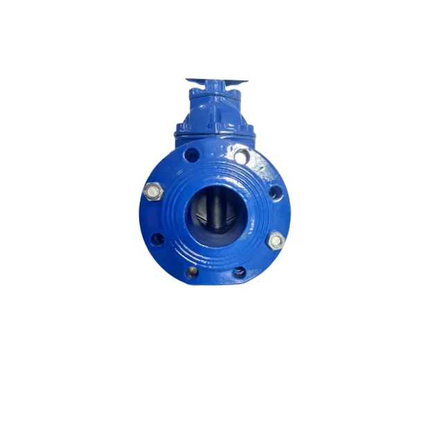 Flanged Soft Seal Expansion Gate Valve - Buy Flanged Soft Seal ...