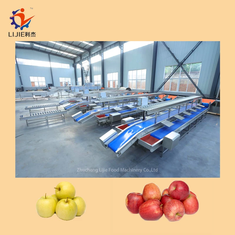 Fruit Grading Machine Apple Grading Line Automatic Fruit and Vegetable ...