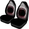 Requin1