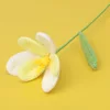 Gradient light yellow-Open tulip flower stem