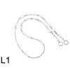 L1
