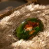 DRB022B -green egg