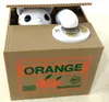 Orange cat