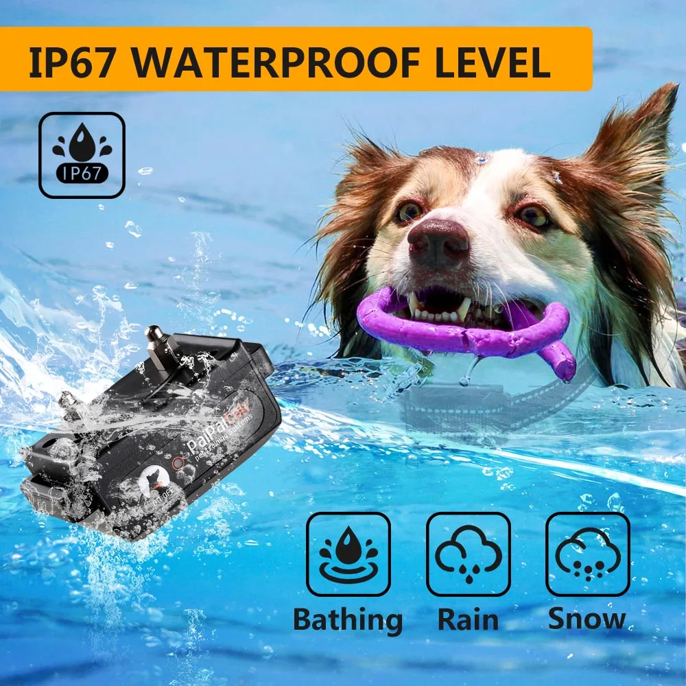 Elektro schock No Bark Hundes chock halsband Haustier Trainings gert  Hundes chock halsband Training mit Fernbedienung| Alibaba.com