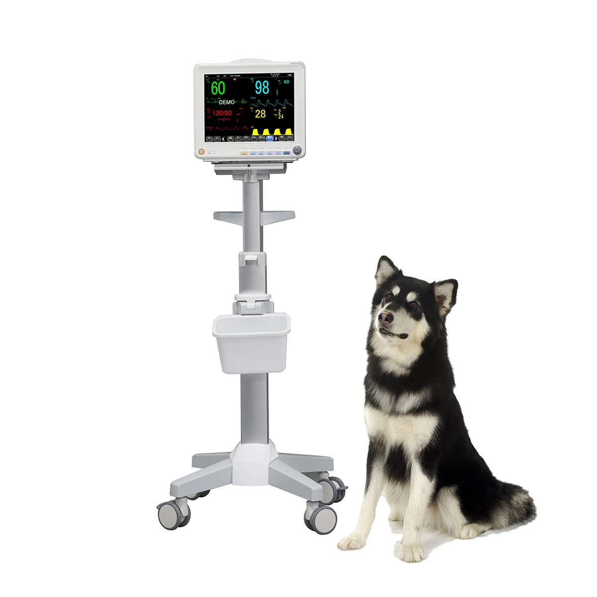 Medical Vital Signs Monitor Multi Parameter Monitor Veterinary ICU ...