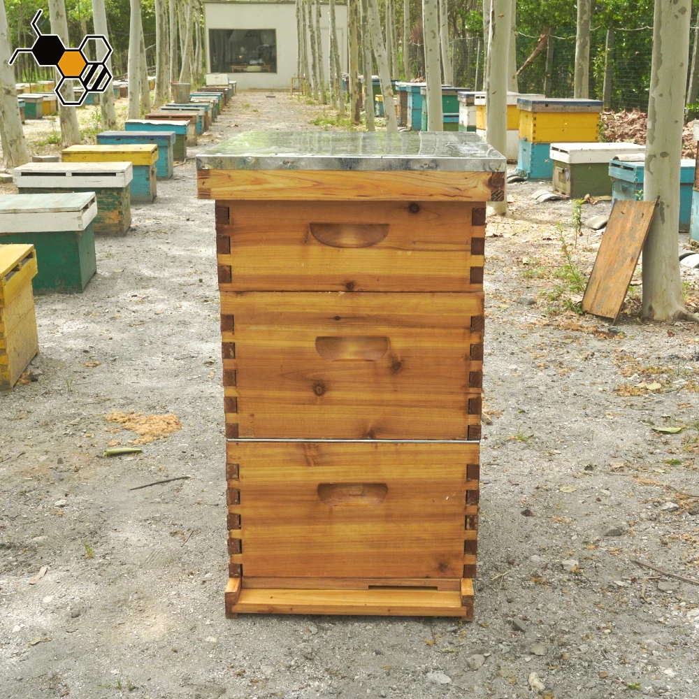 Hot Sale Wax Coated Wooden Bee Hive Complete Langstroth Beehive 10 ...