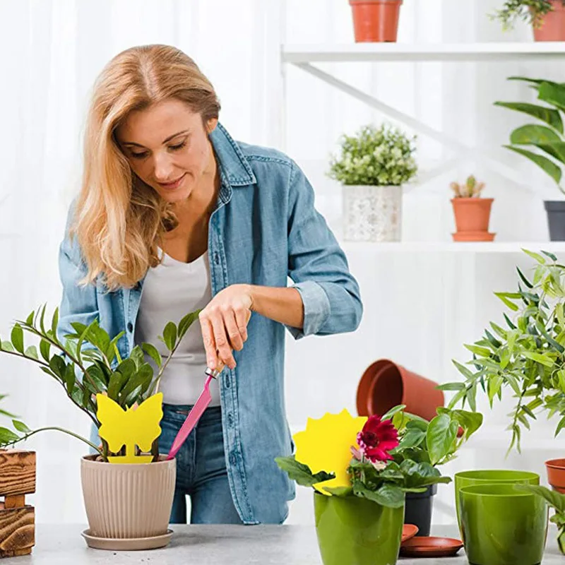 Double Side Sticky Traps Non Toxic Yellow Plant Sticky Traps Fungus Gnat Traps for House Indoor Plants