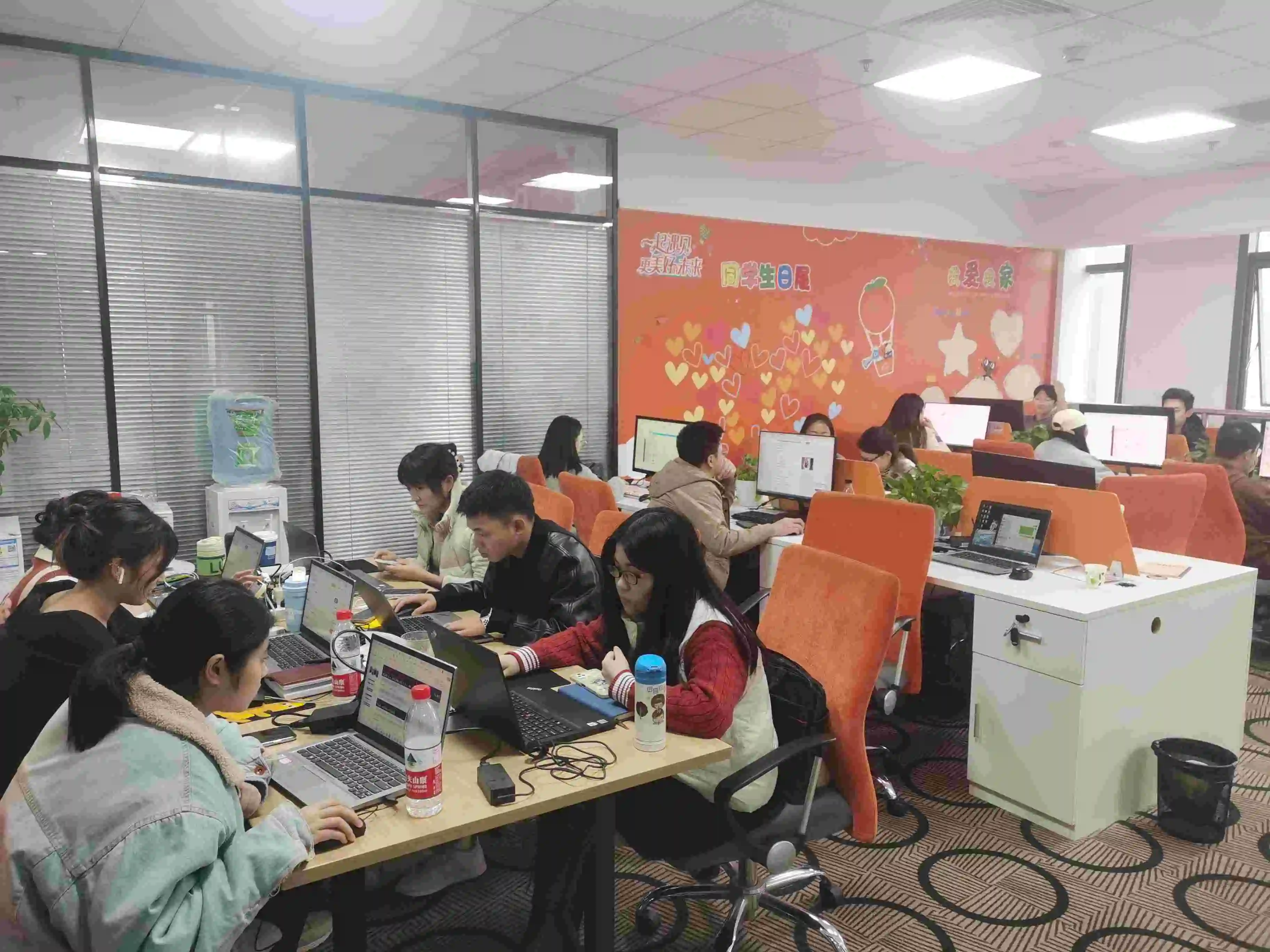 Chongqing Eleve Commercial And Trading Co., Ltd. 2