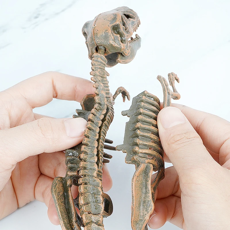 Cheap Toy Archaeology Dig Kit 9 Different Dinosaur Skeleton Digging Toy