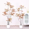 Red South sky bamboo B