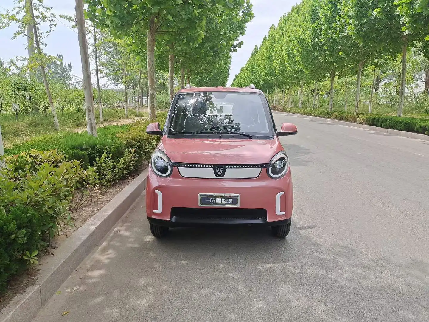 Saige 3000w Low Speed New Energy Car With Air Condition Electric Car