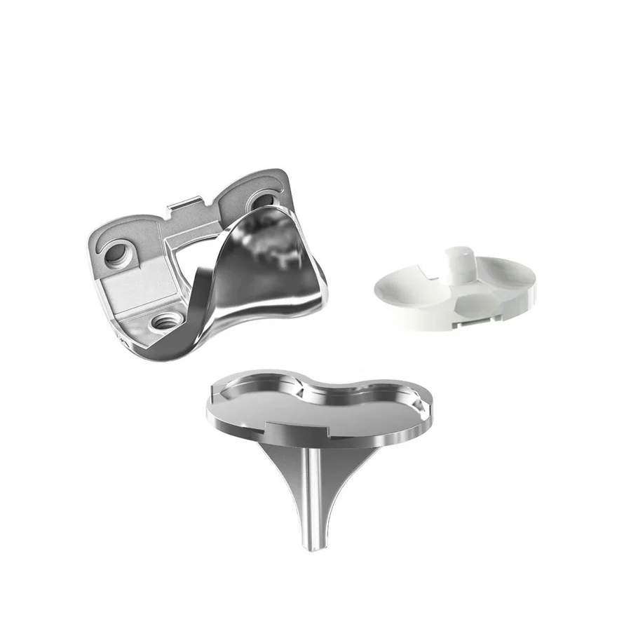 Knee Prosthesis 3